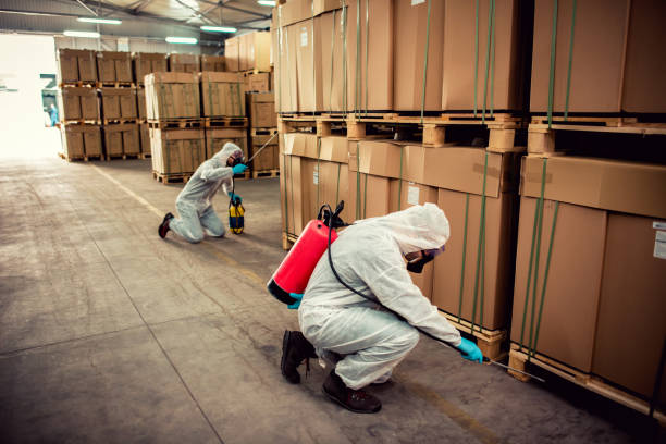 Best Rat Extermination Near Me  in Oriole Beach, FL