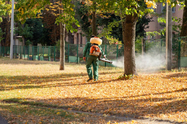 Pest Control for Restaurants in Oriole Beach, FL