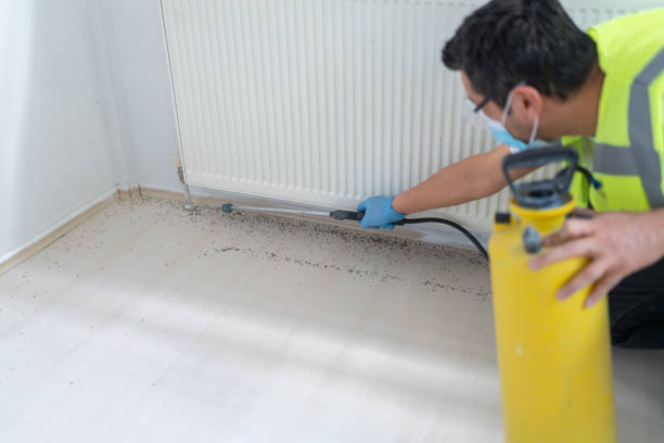 Best Emergency Pest Control  in Oriole Beach, FL
