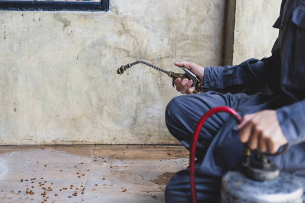 Best Best Pest Control Companies  in Oriole Beach, FL