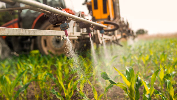 Professional Pest Control in Oriole Beach, FL